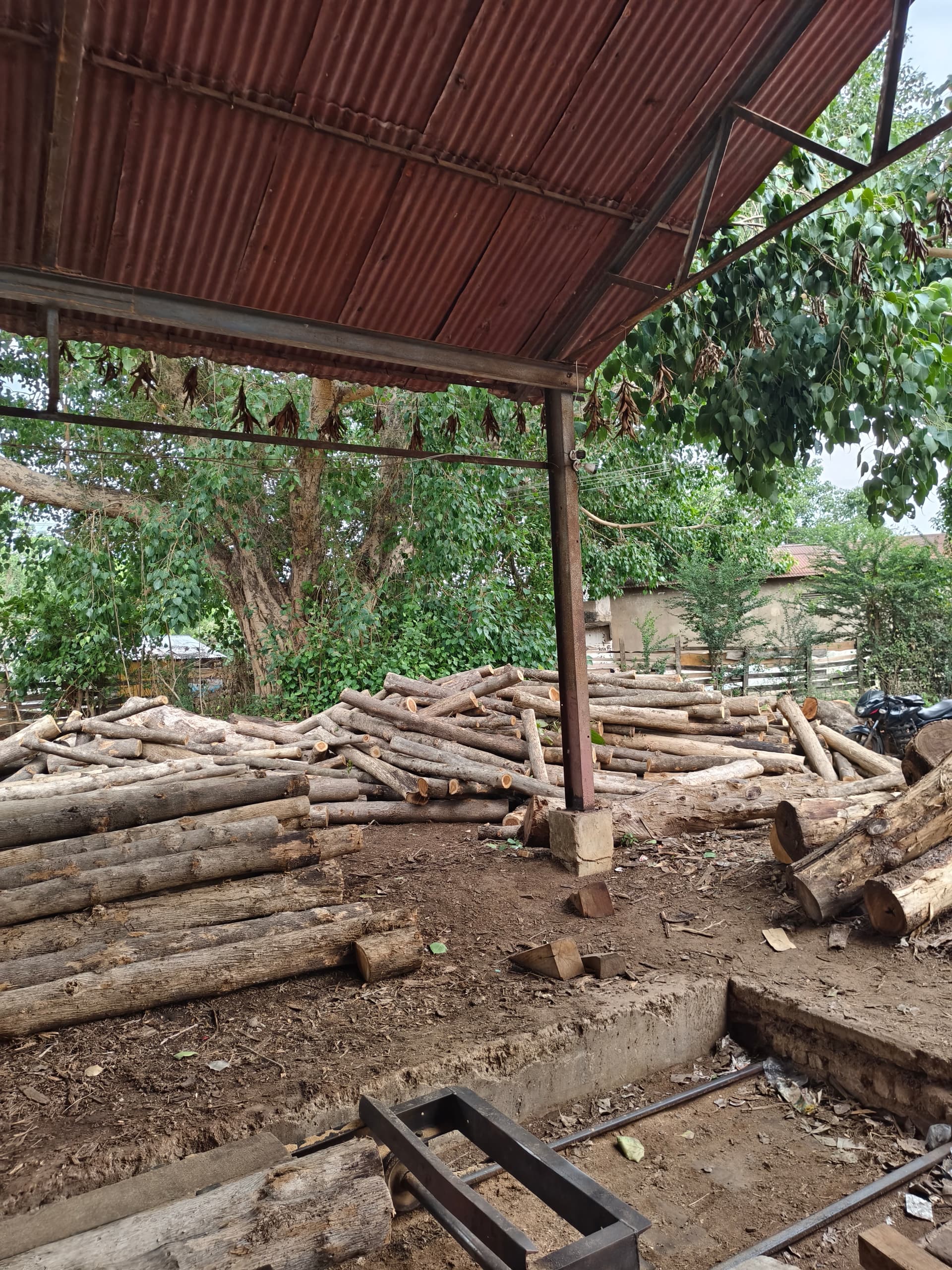 Log storage yard under shed at Sri Vijaya Sankara Saw Mill, Parvathipuram