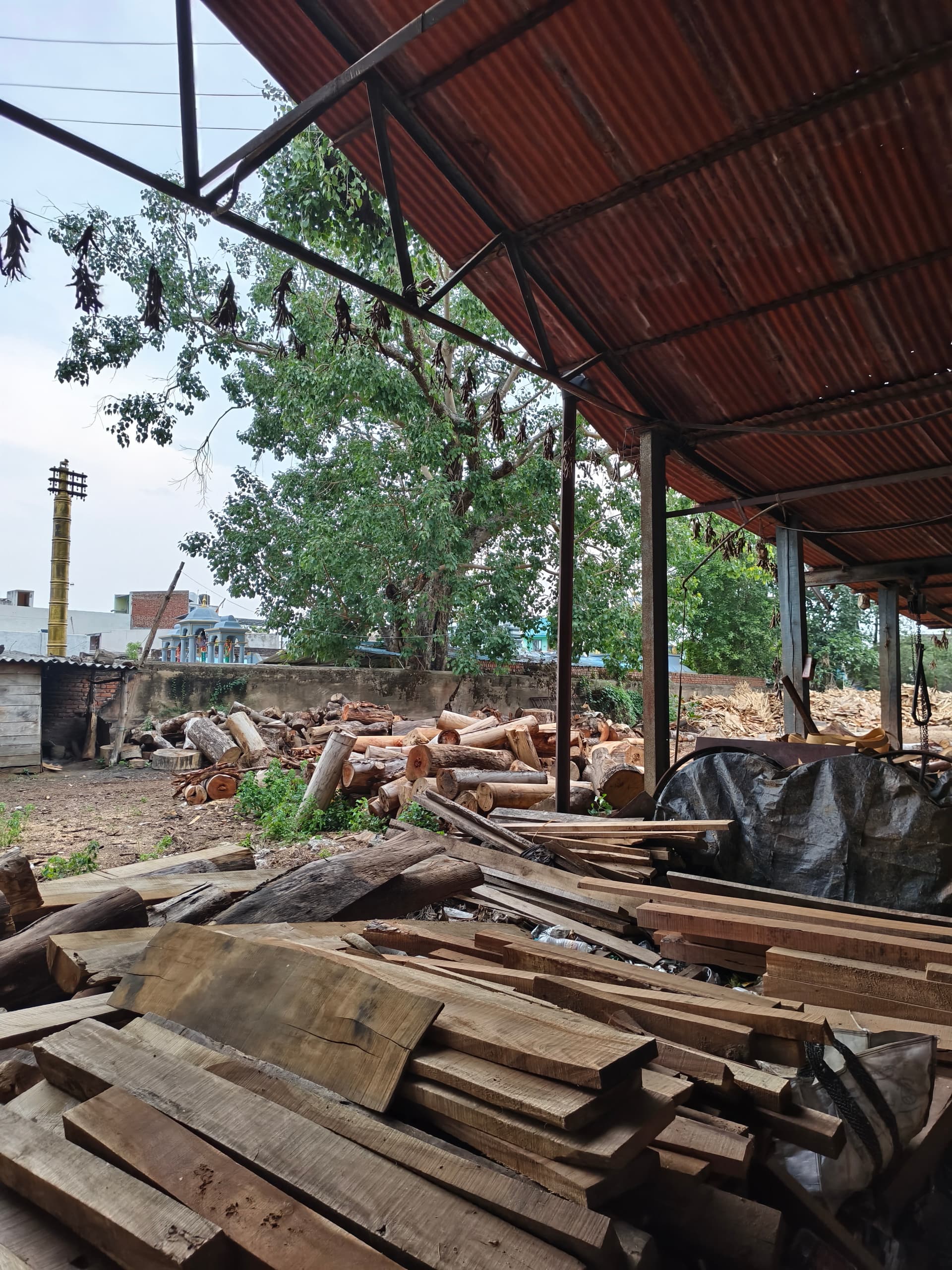 Stacked quality timber planks and logs ready for supply in Parvathipuram