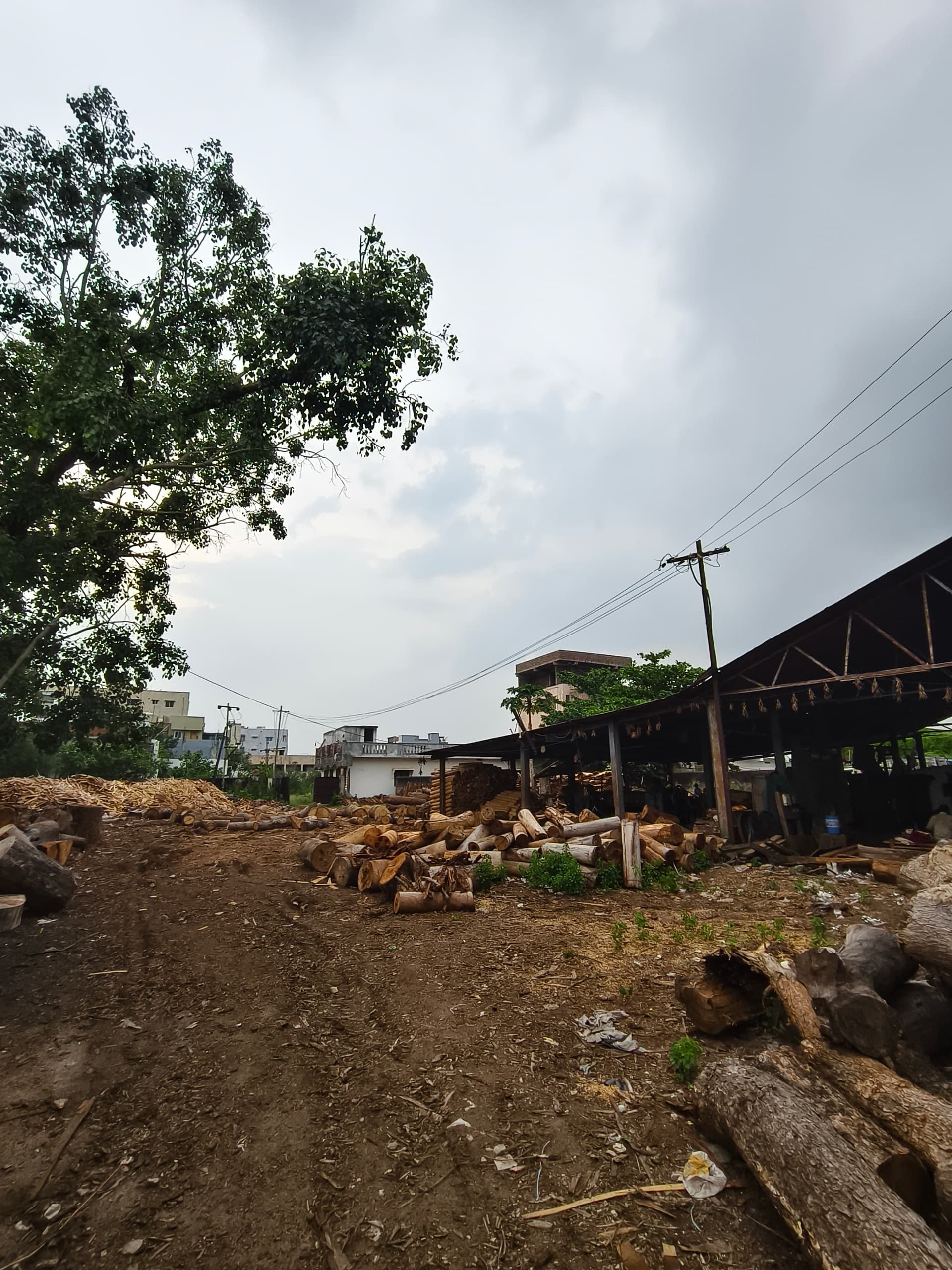 Wide view of Sri Vijaya Sankara Saw Mill & Co premises, Andhra Pradesh